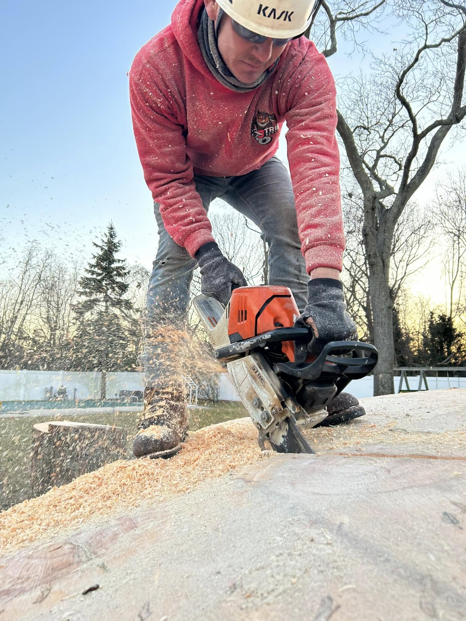 Arborist in KASK safety helmet bucking timber with a Stihl chainsaw